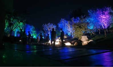 潮晟路夜景亮化