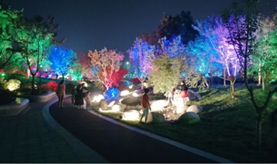 潮晟路夜景亮化