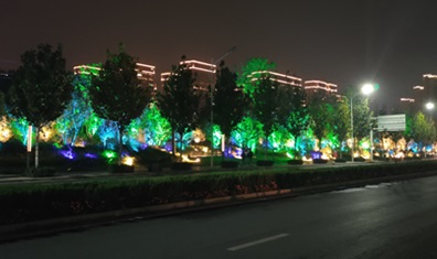 潮晟路夜景亮化