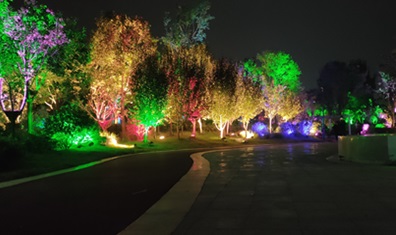 潮晟路夜景亮化