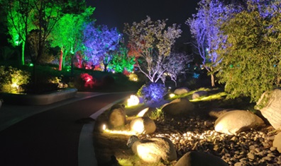 潮晟路夜景亮化