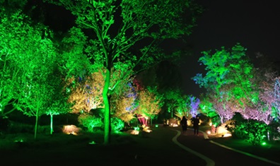 潮晟路夜景亮化