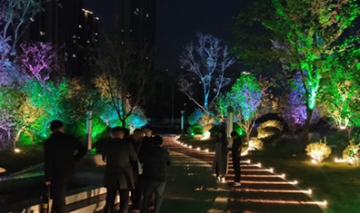 潮晟路夜景亮化