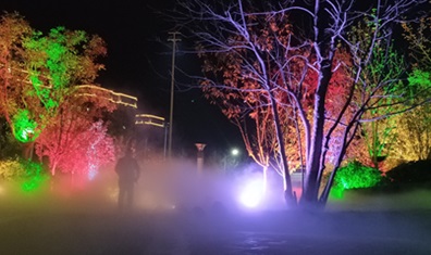 潮晟路夜景亮化