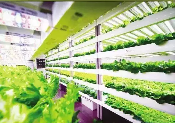 郑州墨缘照明,照明亮化工程 郑州墨缘照明,照明亮化工程